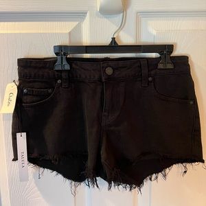NEW Talula from Aritzia the oc short